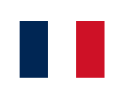 FRENCH COURTESY FLAG
